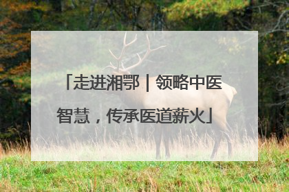 走进湘鄂｜领略中医智慧，传承医道薪火