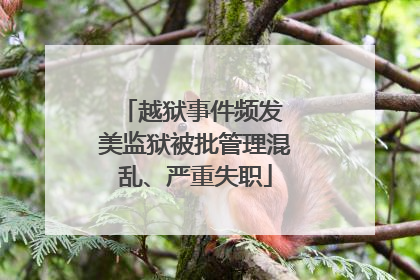 越狱事件频发 美监狱被批管理混乱、严重失职