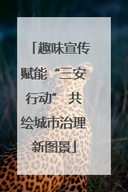 趣味宣传赋能“三安行动” 共绘城市治理新图景