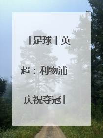 足球丨英超：利物浦庆祝夺冠