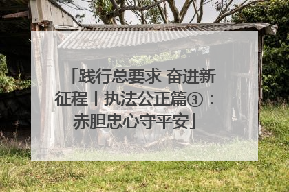 践行总要求 奋进新征程丨执法公正篇③：赤胆忠心守平安
