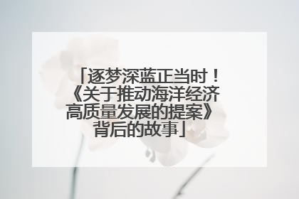 逐梦深蓝正当时！《关于推动海洋经济高质量发展的提案》背后的故事