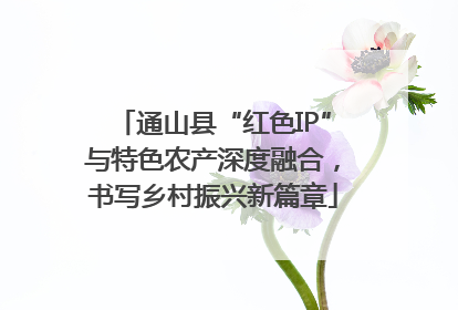 通山县“红色IP”与特色农产深度融合，书写乡村振兴新篇章