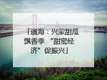 通海：兴蒙甜瓜飘香季 “甜蜜经济”促振兴