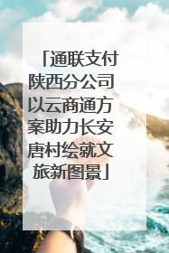 通联支付陕西分公司以云商通方案助力长安唐村绘就文旅新图景