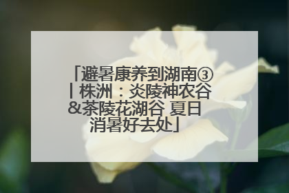 避暑康养到湖南③丨株洲：炎陵神农谷&茶陵花湖谷 夏日消暑好去处