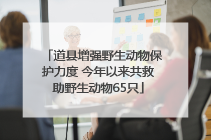 道县增强野生动物保护力度 今年以来共救助野生动物65只