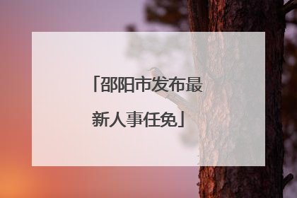 邵阳市发布最新人事任免