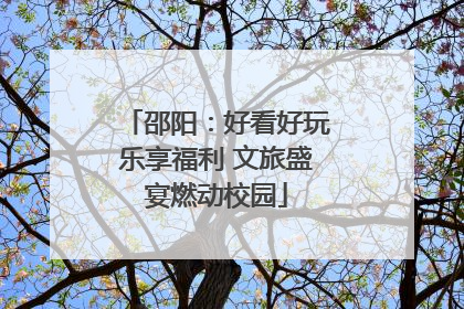 邵阳：好看好玩乐享福利 文旅盛宴燃动校园