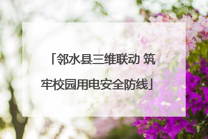 邻水县三维联动 筑牢校园用电安全防线