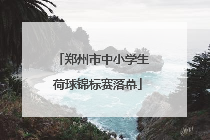 郑州市中小学生荷球锦标赛落幕