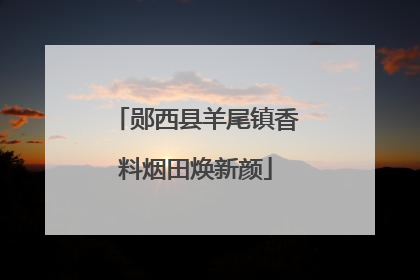 郧西县羊尾镇香料烟田焕新颜