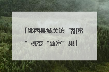 郧西县城关镇“甜蜜”桃变“致富”果