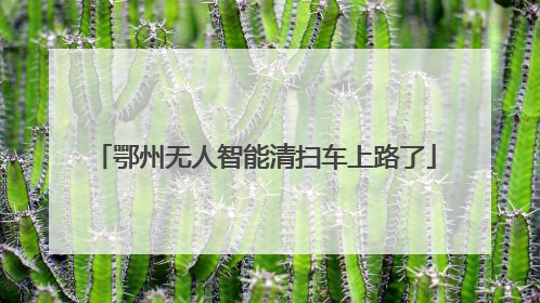 鄂州无人智能清扫车上路了
