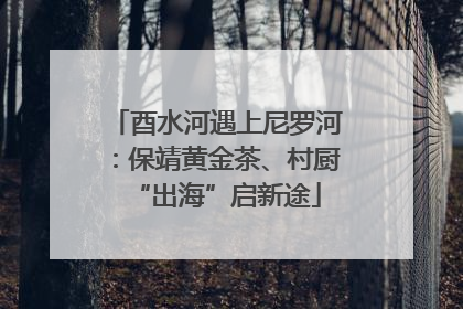 酉水河遇上尼罗河：保靖黄金茶、村厨“出海”启新途