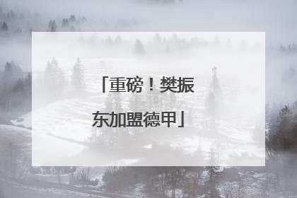 重磅！樊振东加盟德甲
