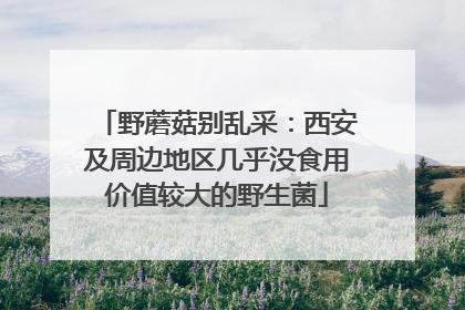 野蘑菇别乱采：西安及周边地区几乎没食用价值较大的野生菌
