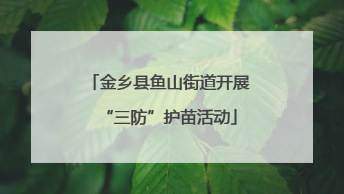 金乡县鱼山街道开展“三防”护苗活动