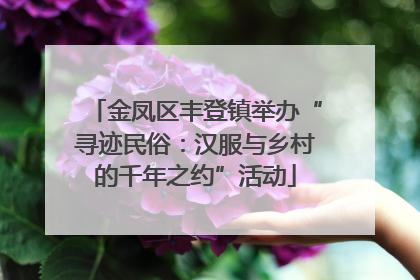 金凤区丰登镇举办“寻迹民俗：汉服与乡村的千年之约”活动