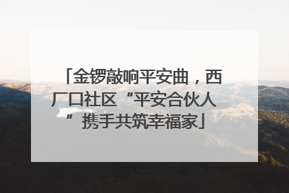 金锣敲响平安曲，西厂口社区“平安合伙人”携手共筑幸福家