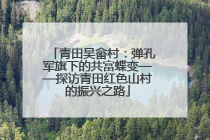 青田吴畲村：弹孔军旗下的共富蝶变——探访青田红色山村的振兴之路