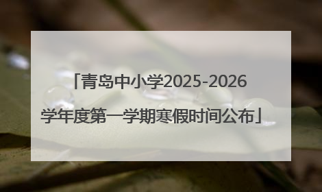 青岛中小学2025-2026学年度第一学期寒假时间公布