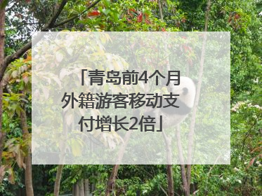 青岛前4个月外籍游客移动支付增长2倍
