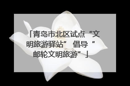 青岛市北区试点“文明旅游驿站” 倡导“邮轮文明旅游”