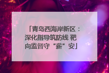 青岛西海岸新区：深化指导筑防线 靶向监督守“薪”安