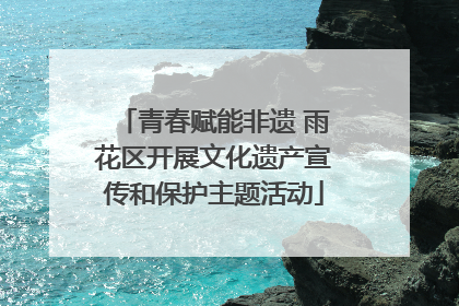 青春赋能非遗 雨花区开展文化遗产宣传和保护主题活动