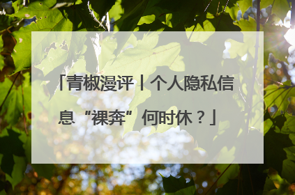 青椒漫评丨个人隐私信息“裸奔”何时休？