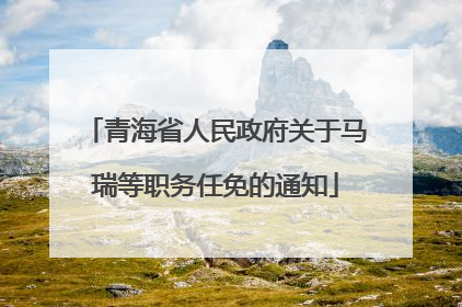 青海省人民政府关于马瑞等职务任免的通知