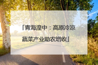 青海湟中：高原冷凉蔬菜产业助农增收