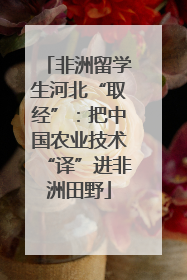 非洲留学生河北“取经”：把中国农业技术“译”进非洲田野