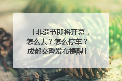 非遗节即将开幕，怎么去？怎么停车？成都交警发布提醒