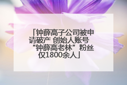 钟薛高子公司被申请破产 创始人账号“钟薛高老林”粉丝仅1800余人