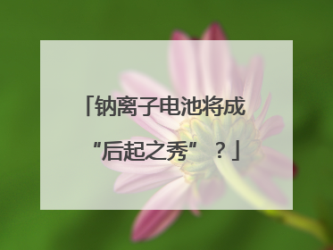 钠离子电池将成“后起之秀”？