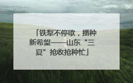 铁犁不停歇，播种新希望——山东“三夏”抢收抢种忙