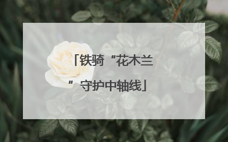 铁骑“花木兰”守护中轴线