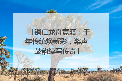 铜仁龙舟竞渡：千年传统焕新彩，桨声鼓韵续写传奇