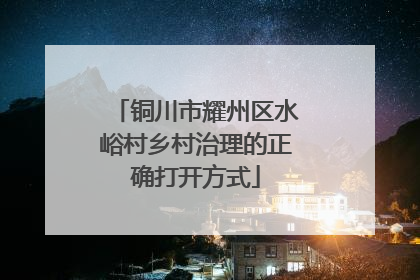 铜川市耀州区水峪村乡村治理的正确打开方式