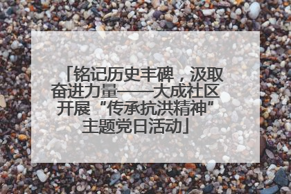 铭记历史丰碑，汲取奋进力量——大成社区开展“传承抗洪精神”主题党日活动