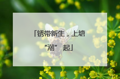 锈带新生，上塘 “潮” 起