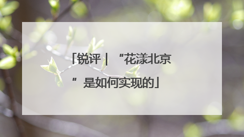 锐评｜“花漾北京”是如何实现的