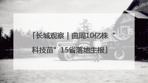 长城观察｜曲周10亿株“科技苗”15省落地生根