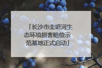 长沙市圭塘河生态环境损害赔偿示范基地正式启动