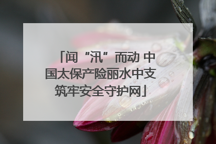 闻“汛”而动 中国太保产险丽水中支筑牢安全守护网