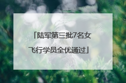陆军第三批7名女飞行学员全优通过