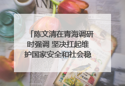 陈文清在青海调研时强调 坚决扛起维护国家安全和社会稳定职责使命 为谱写中国式现代化青海篇章贡献政法力量