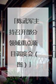 陈武军主持召开部分领域重点项目调度会（图）